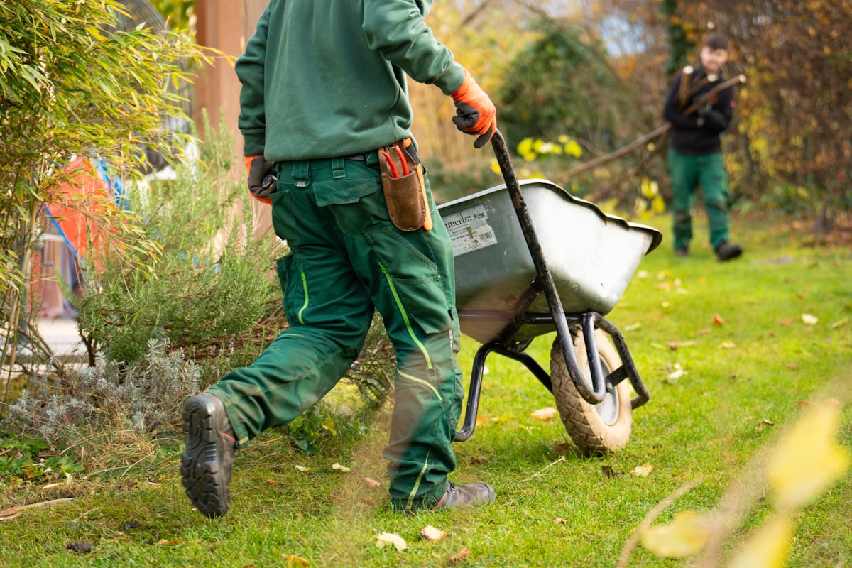 Landscaped yard result